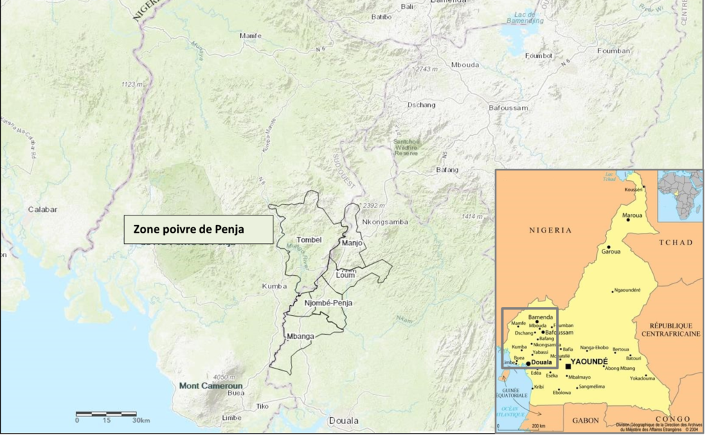 Le Poivre de Penja : Indication Géographique Protégée - Terre et