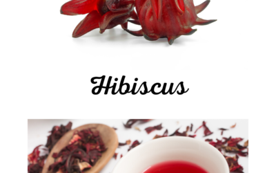 Découvrez l’hibiscus, la fleur appréciée en cuisine
